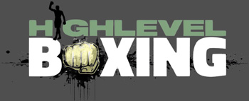 High Level Boxing Gym | Professional Training Coaching | Kingscliff Casuarina Tweed Coast Logo